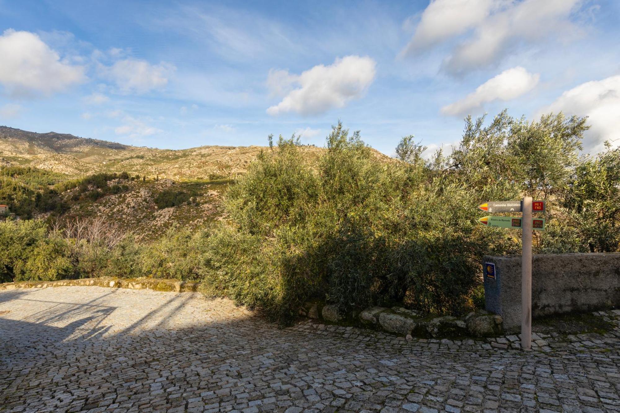 Cosy Remodeled In The Center * Fundao